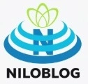 فروشگاه اینترنتی نبینی ضرر کردی